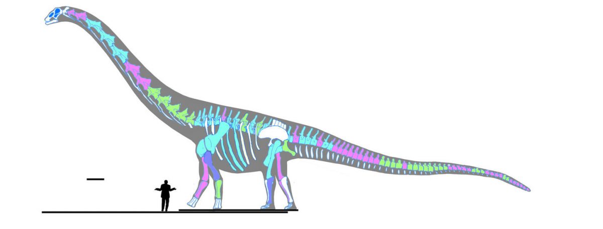 The+almighty+Patagotitan+reaches+122+feet+from+head+to+toe.+