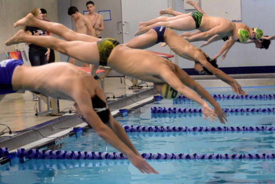 Swim Team looks ahead to promising season